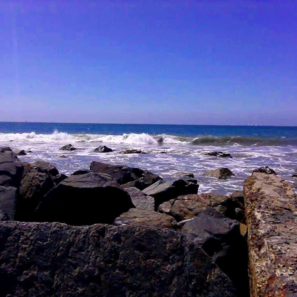 Meet your Posher, Jesse